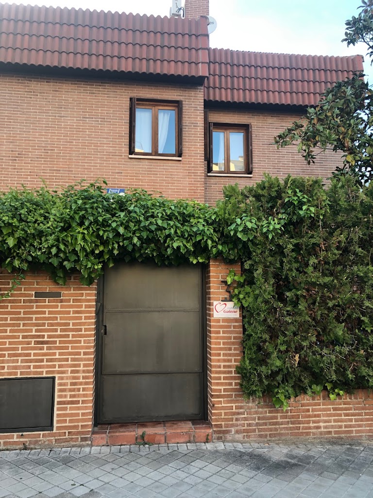 Instituto Galene de Psicoterapia
