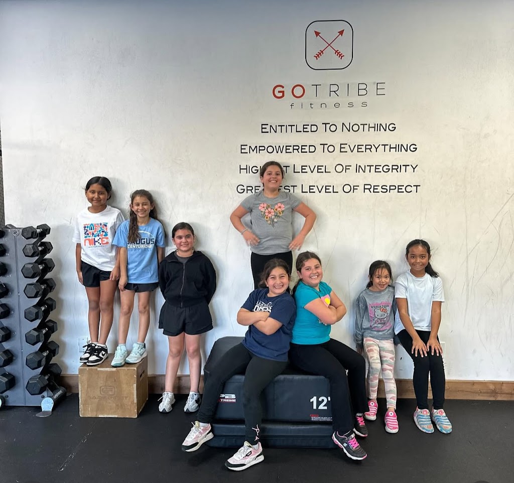  GoTribe Fitness
