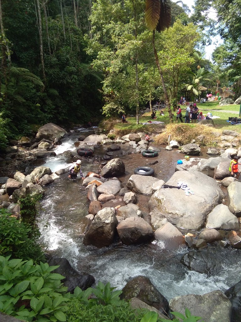 Camping Ground cottage Mist