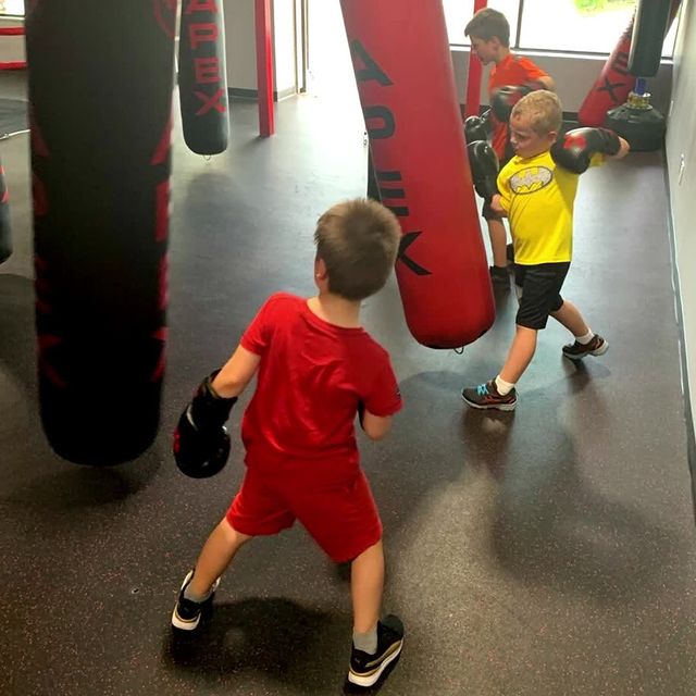  Apex Boxing and Fitness