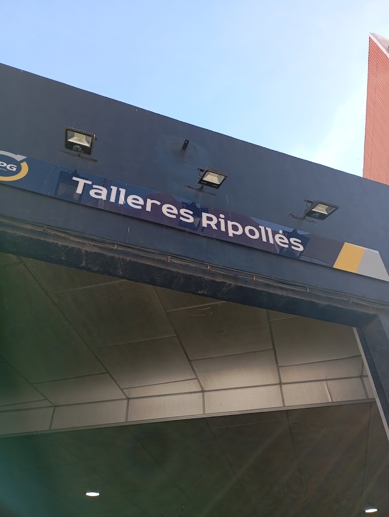 TALLERES RIPOLLES CASTELLON, S.L. — Del propietario