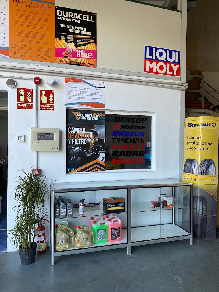 Neumaticos Guerrero Coin