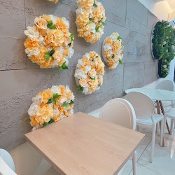 64d0b03d33b120f976a4d977 的照片