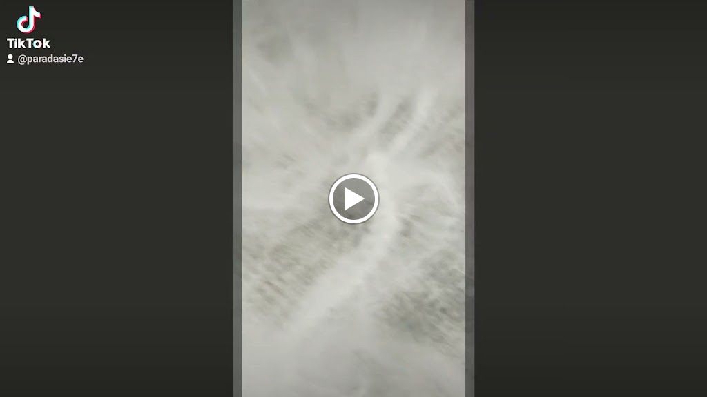 PARADA SIE7E — Videos