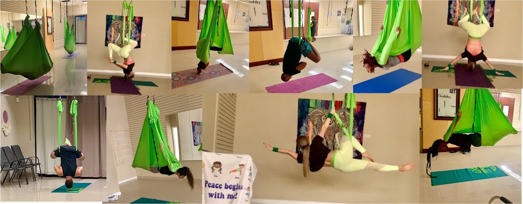  Scleranthus Aerial Yoga - Miami’s Preferred Aerial Yoga @miamisaerialyoga