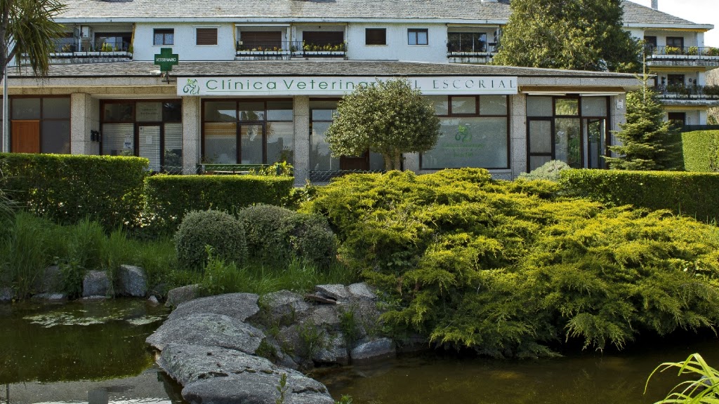 Clinica Veterinaria El Escorial