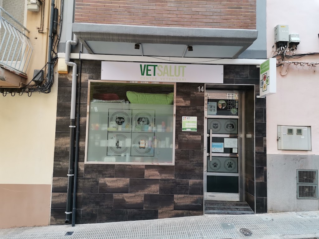 Clinica Veterinaria Vetsalut — Del propietario