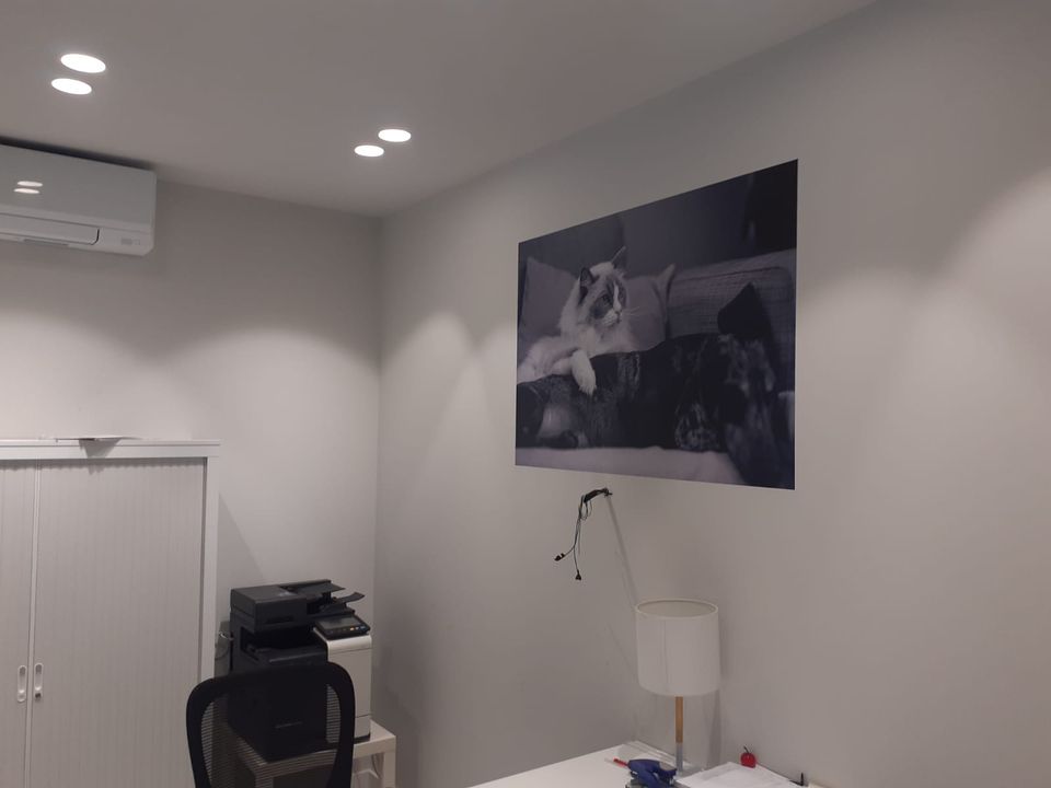 AniCura Albeitar Hospital Veterinario | Urgencias 24h — Del propietario