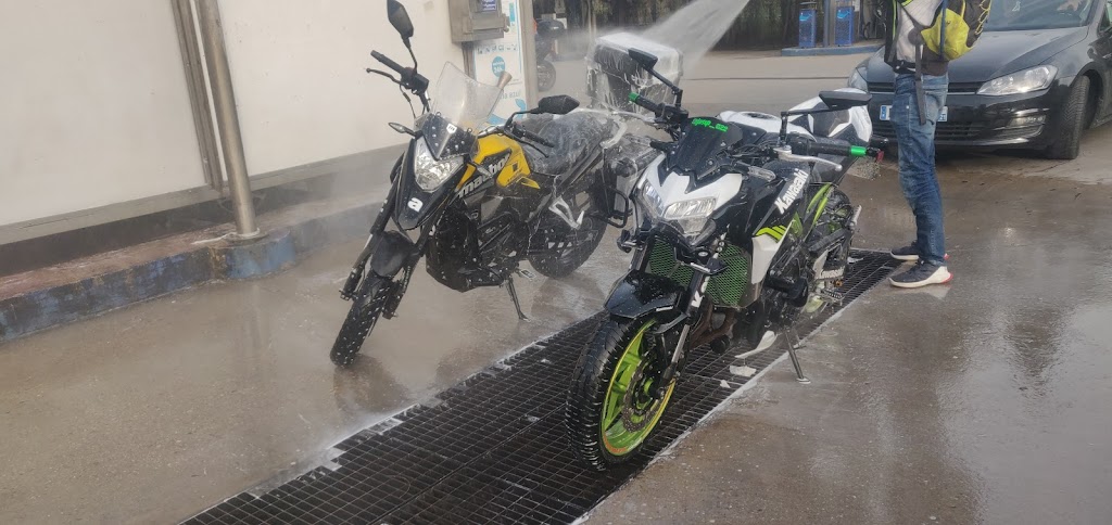 Lavado La Ballena Azul