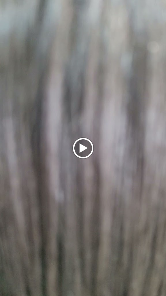 PELUQUERIA Y ESTETICA ROCIO SARMIENTO — Videos