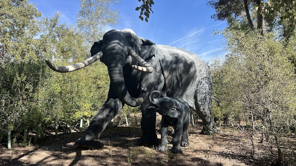 Centro de Educacion Ambiental El Campillo