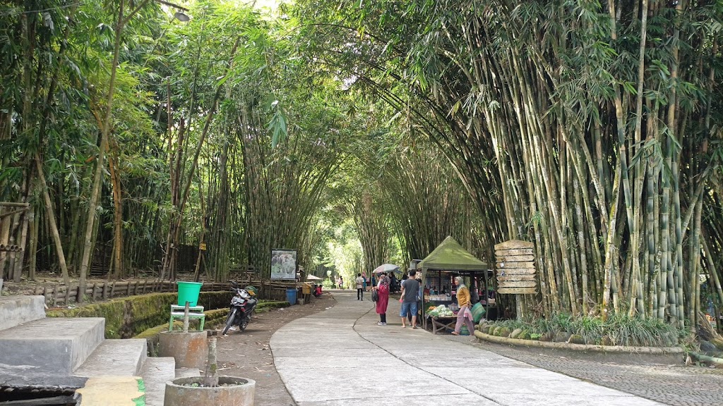 Hutan Bambu Lumajang