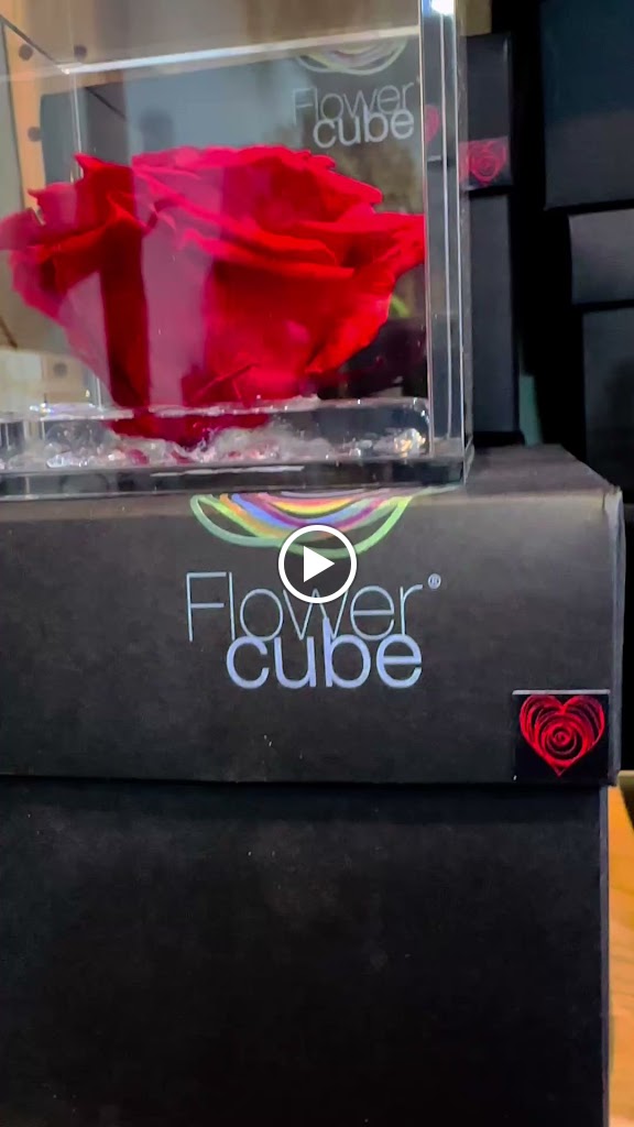 Floristeria Noki floristas — Videos
