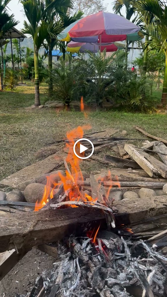 Videos