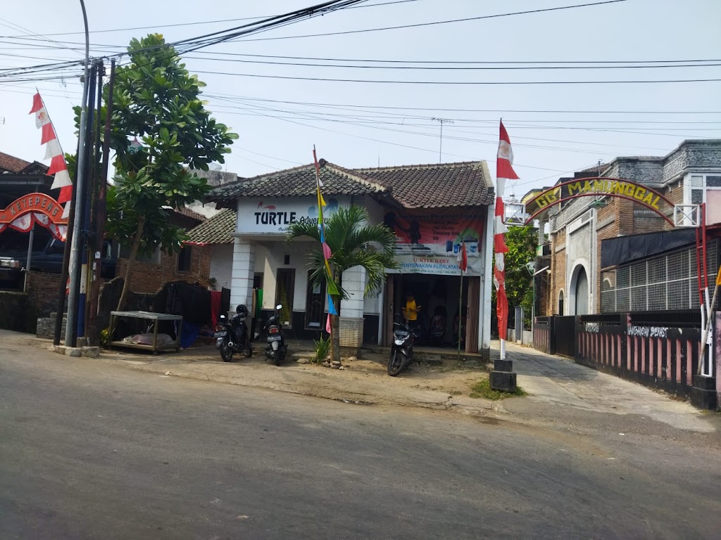 Turtle Adventure (Rental Alat Camping Magelang)