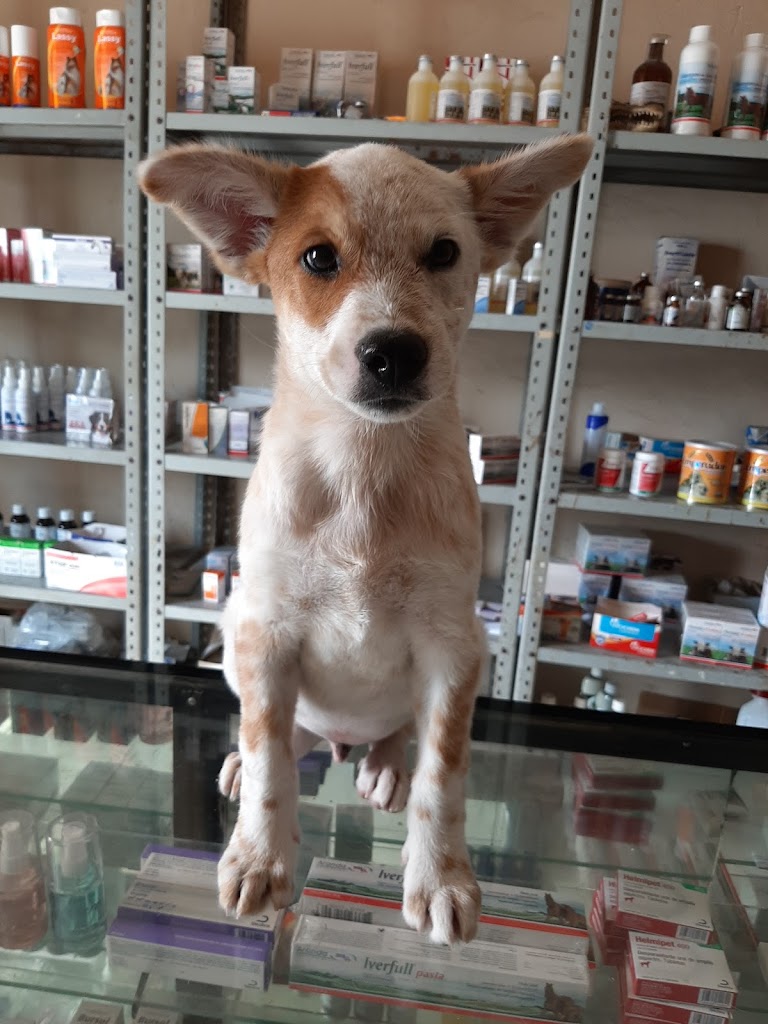 Farmacia Veterinaria Adame en Linares