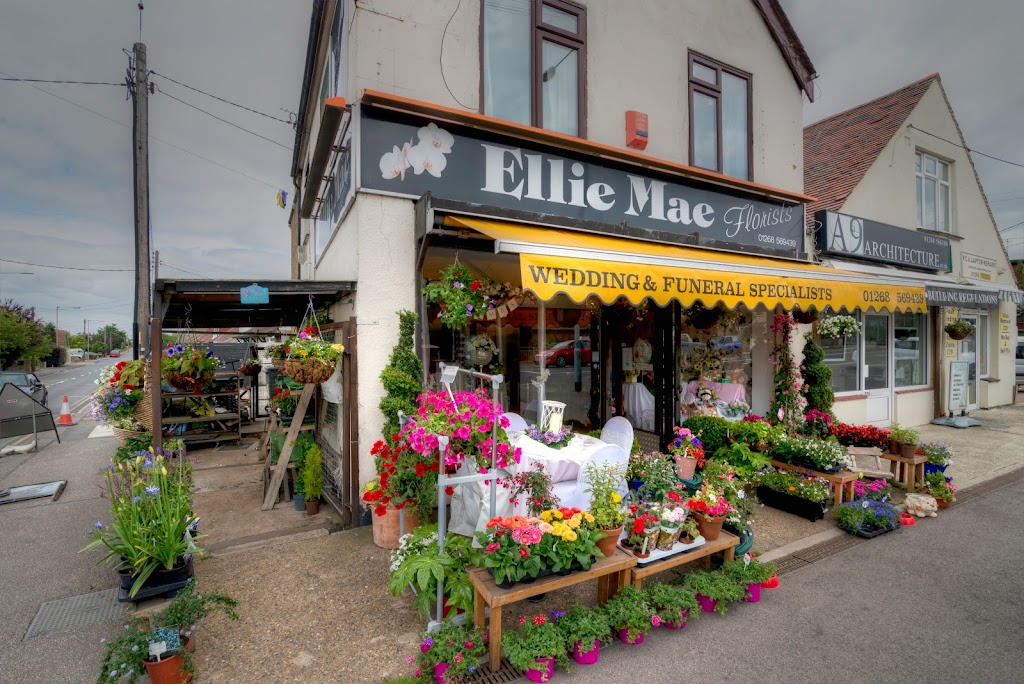 Ellie Mae Florist