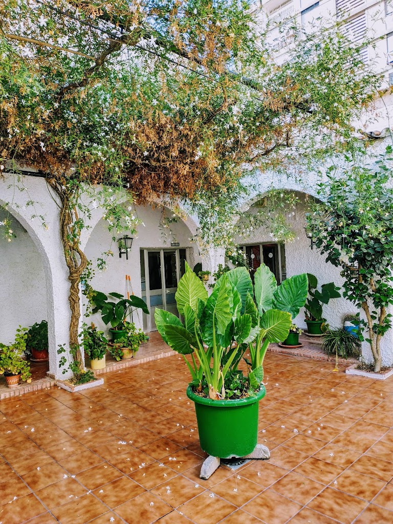 Centro de Participacion Activa de Mayores Jerez II - Las Torres — De los visitantes
