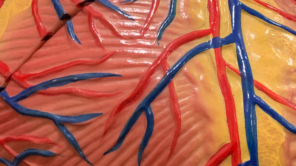 Dr. Dr Nishith Chandra Best Cardiologist In Noida