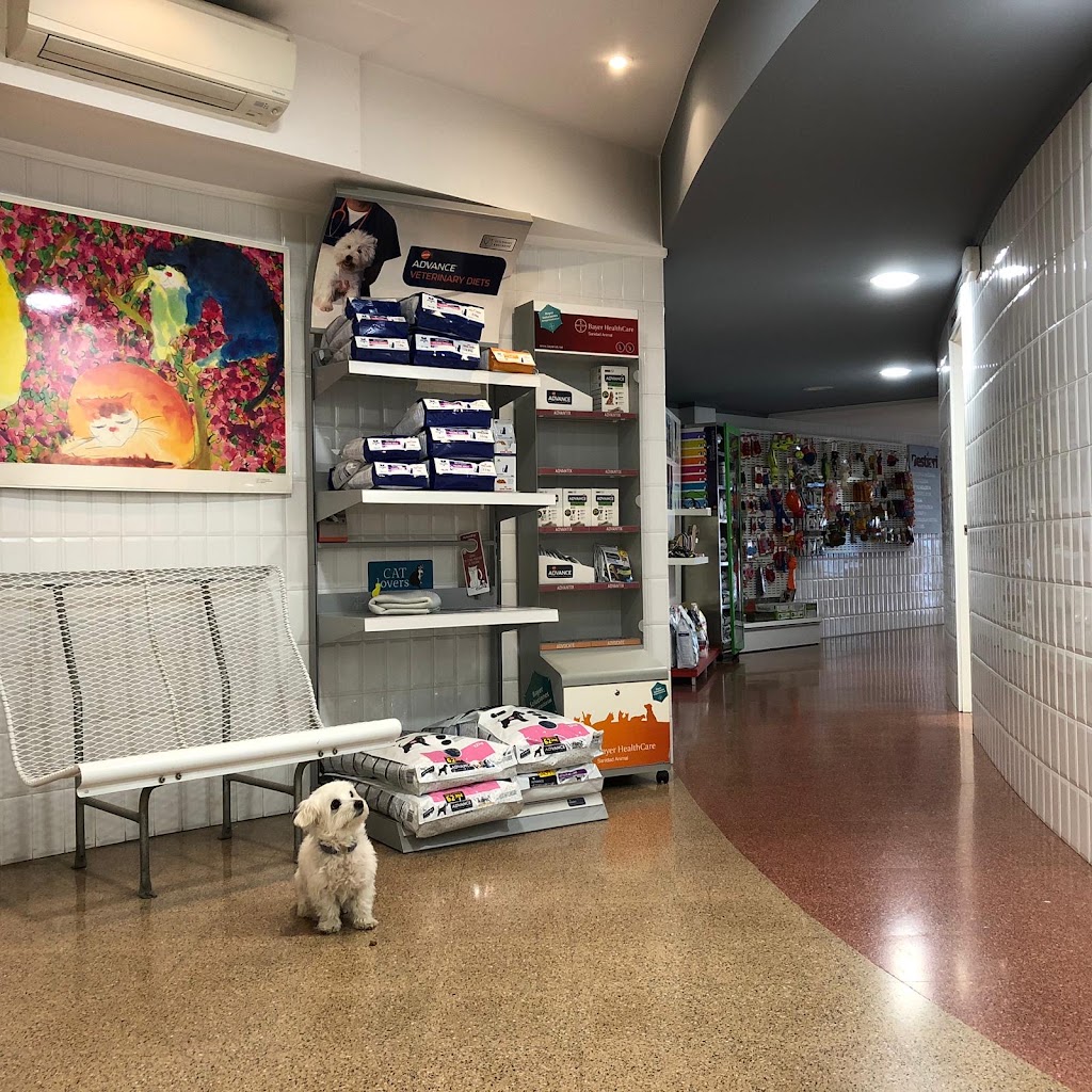 Clinica Veterinaria Bestiari — Del propietario