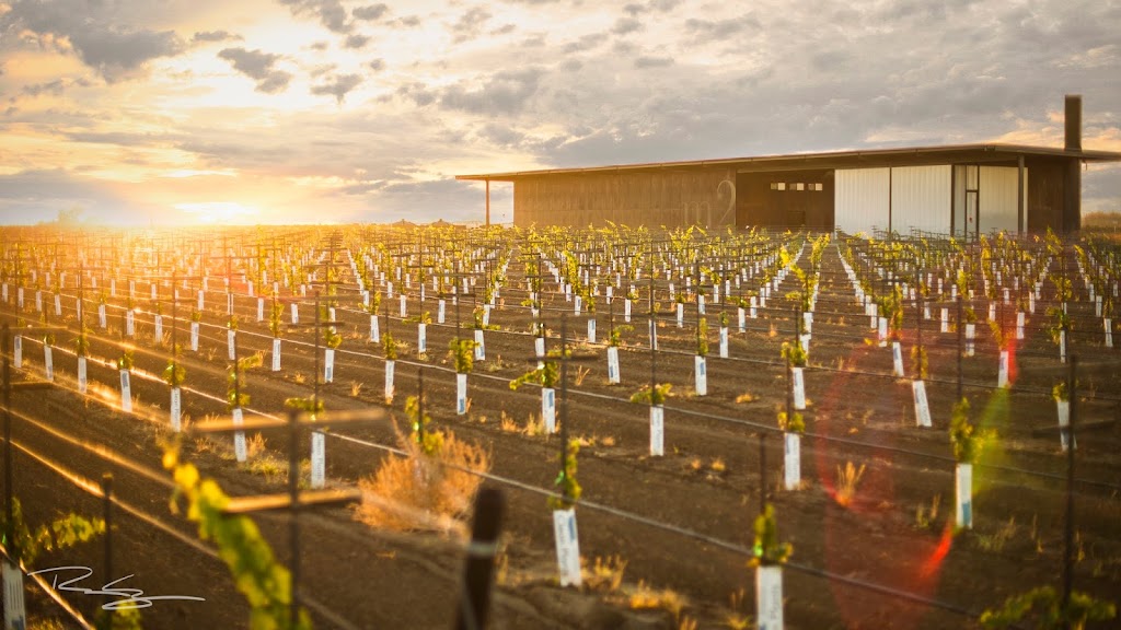 M2 Wines