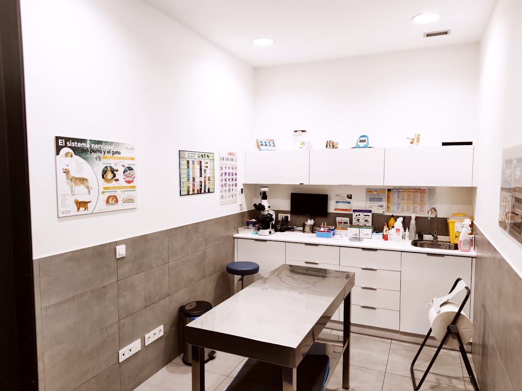 Clinica Veterinaria Gran Via — Del propietario