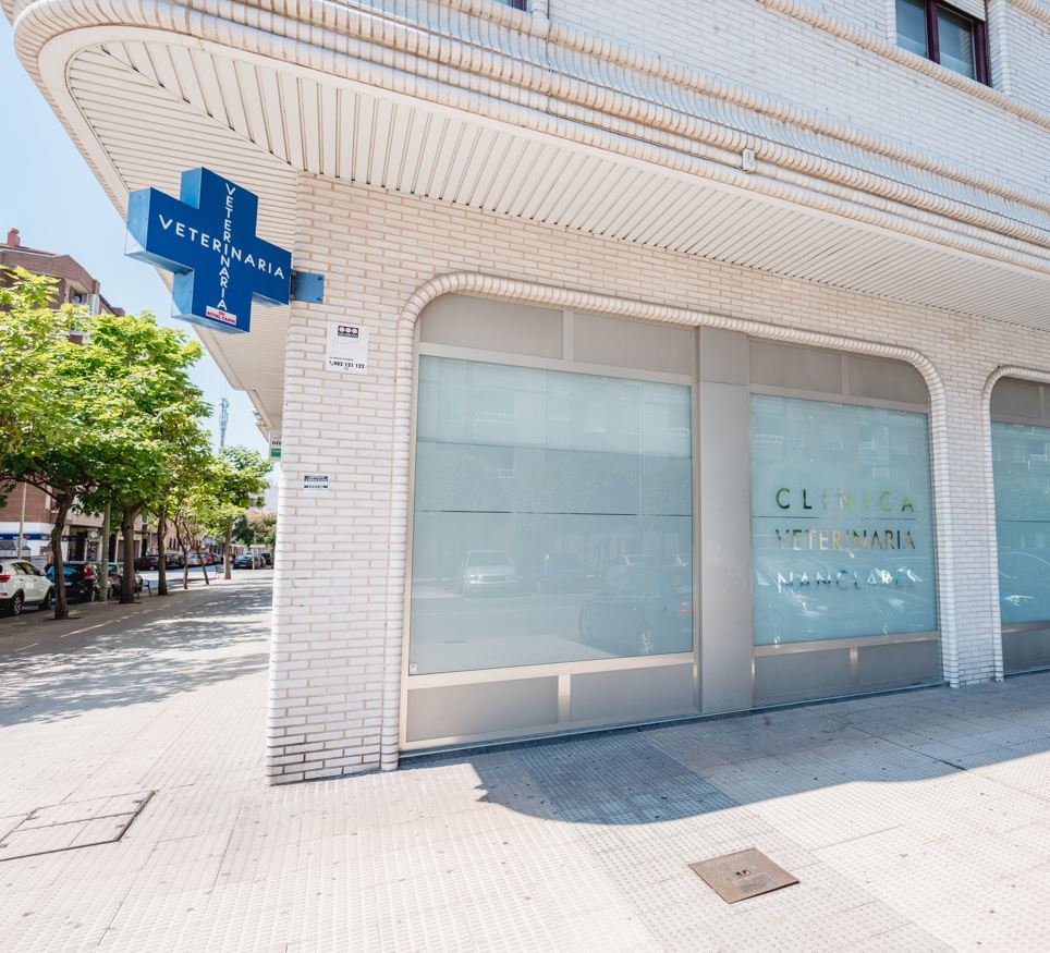Clinica Veterinaria Nanclares Miranda de Ebro — Del propietario