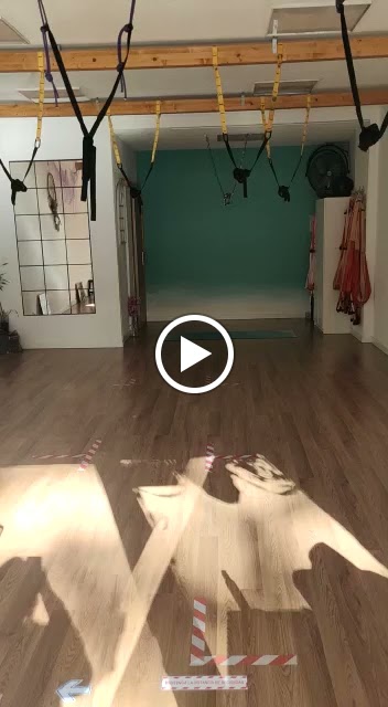 Yoqui Yemaya Yoga Aeroyoga Desarrollo — Del propietario