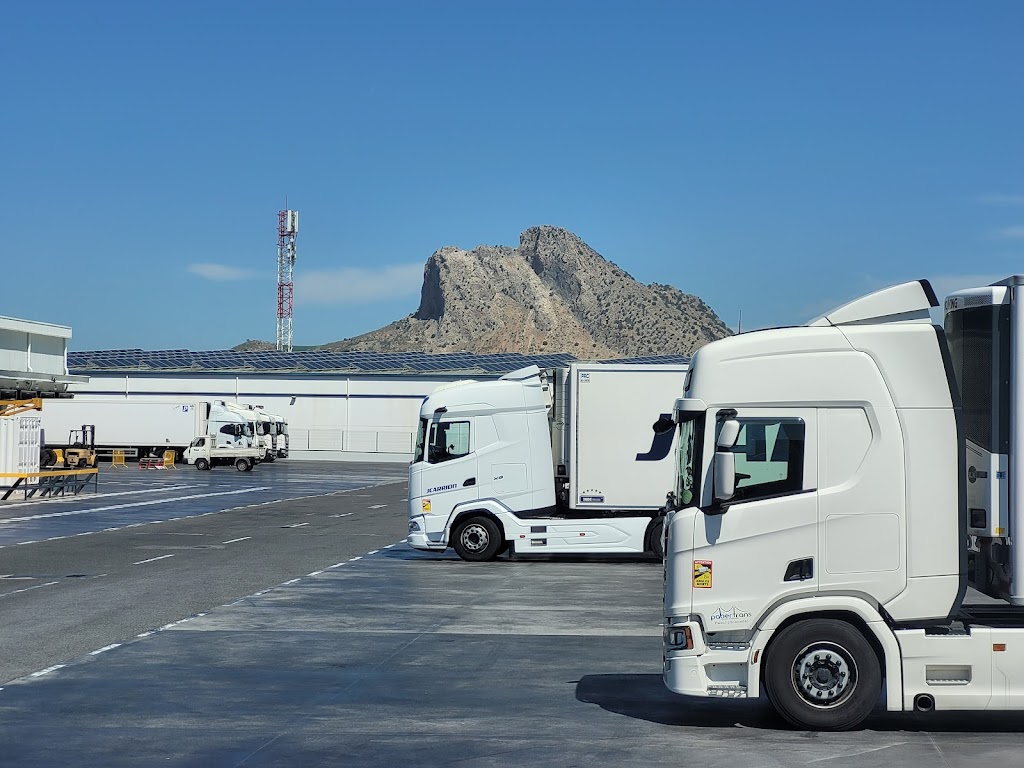 Acotral Antequera Gasoil