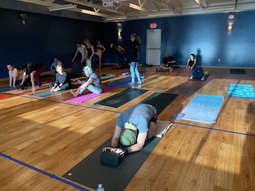  CITYOGA School of Yoga and Health