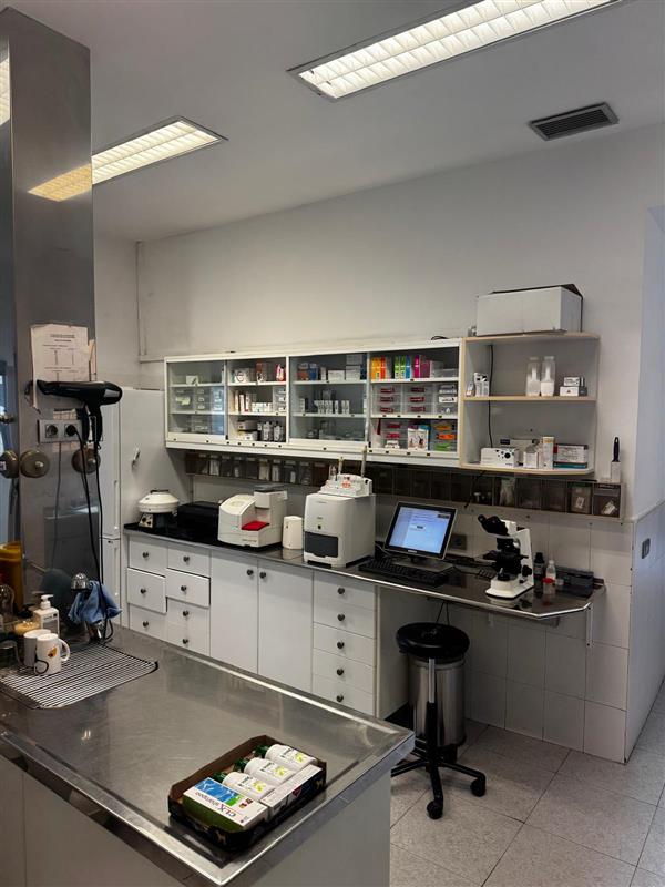 Clinica Veterinaria Canis - Palma de Mallorca — Del propietario