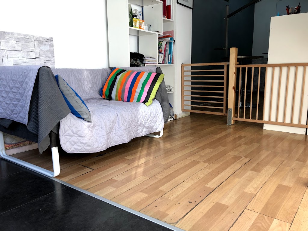 Escuela de Peluqueria Canina Kikecan - Iv San Bernard Official Academy — Del propietario