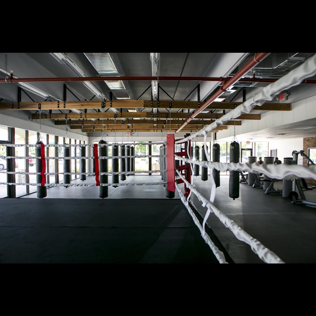  THE GYM BOXING AND FITNESS