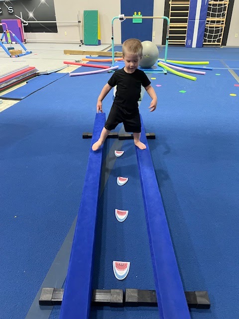 Elevation Gymnastics