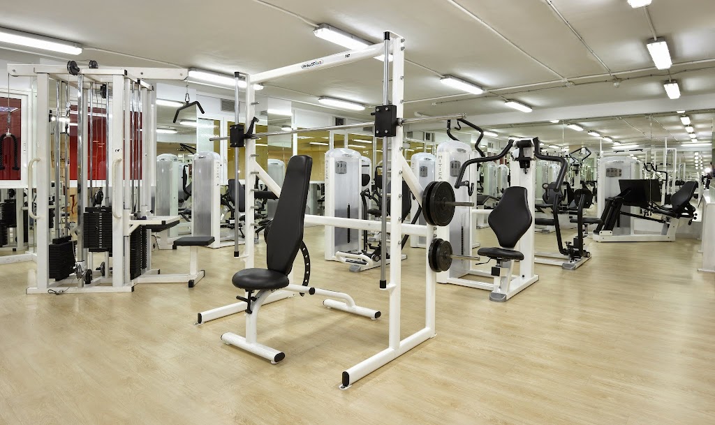 Gimnasio ArenaSport CAD