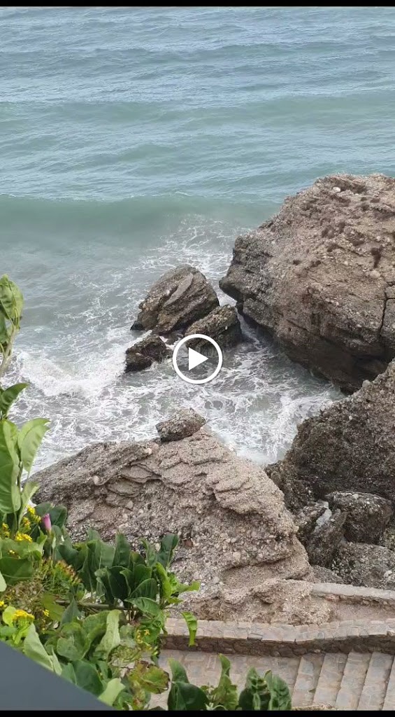 Restaurant No.7 — Videos