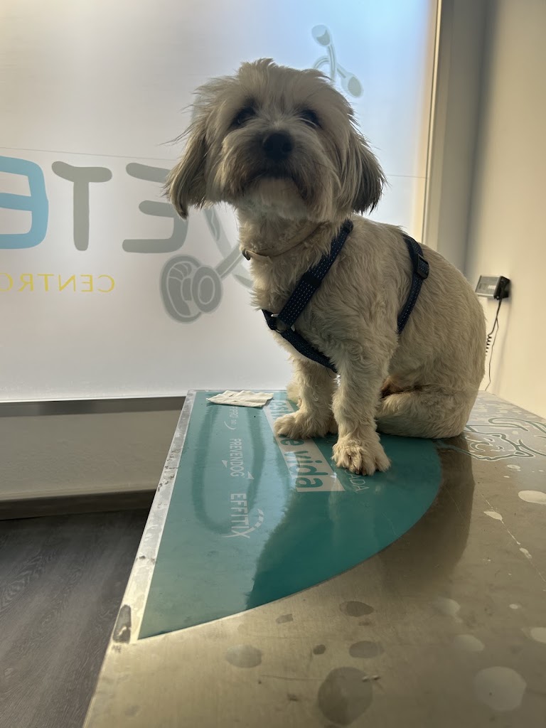 Centro Veterinario Veterick — Perro