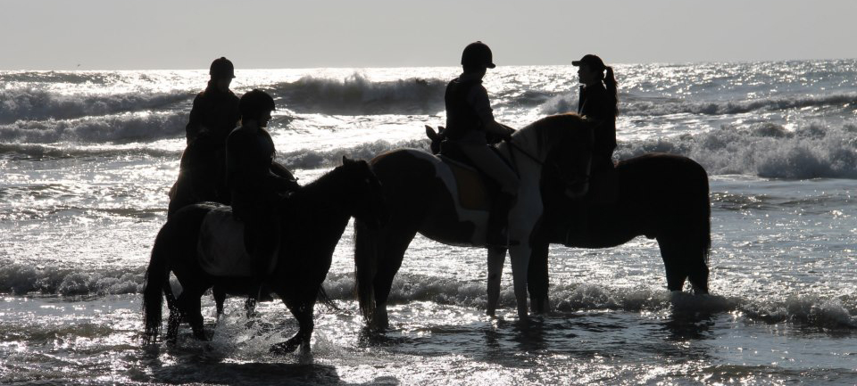 Fundacion Privada la Granja de Sitges