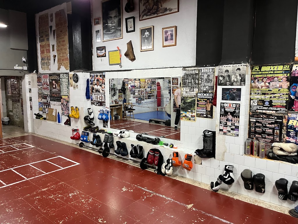 Boxing Friends — Del propietario