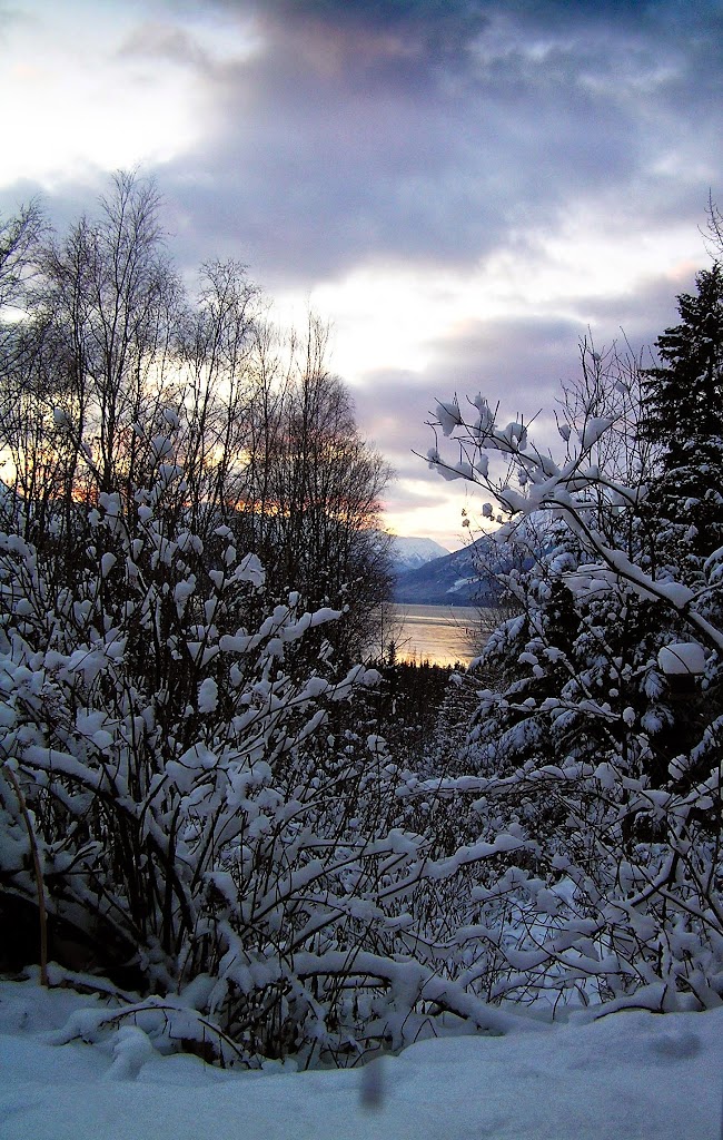 Weston Technology Solutions