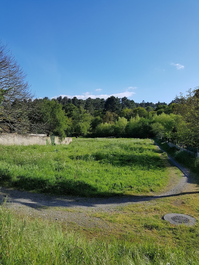 Centro de Dia Los Olivos