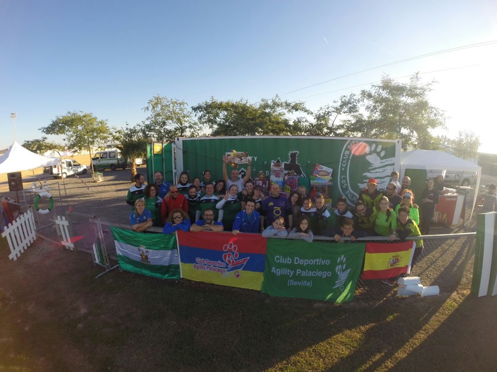 C.D Agility Palaciego