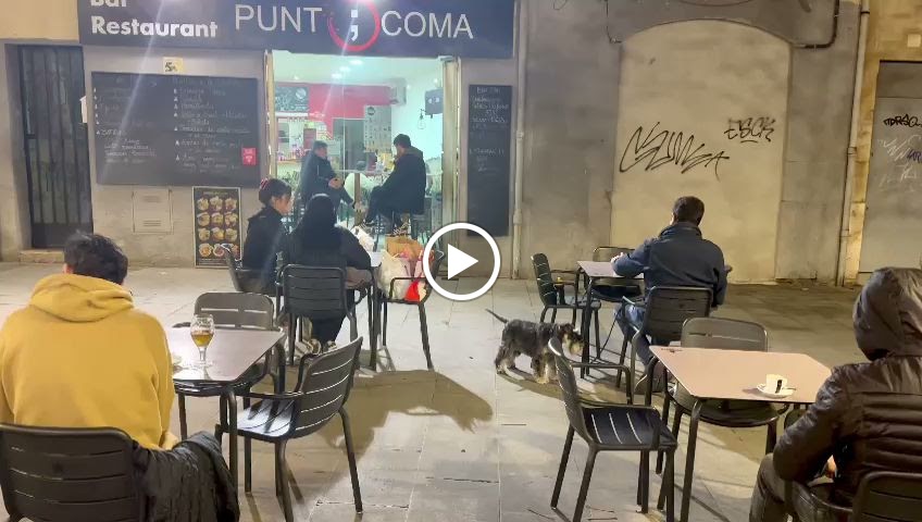 Punto y Coma — Ambiente