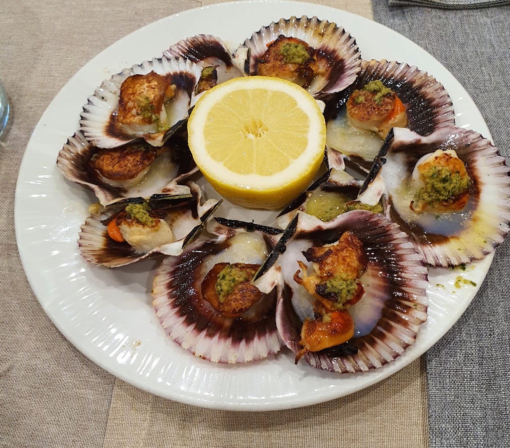 Restaurante El Nuevo Alambique — Pectinidae