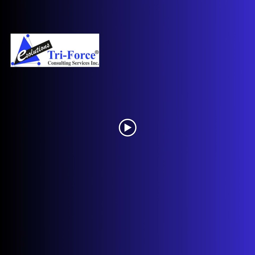 Tri Force It Consulting Services Inc