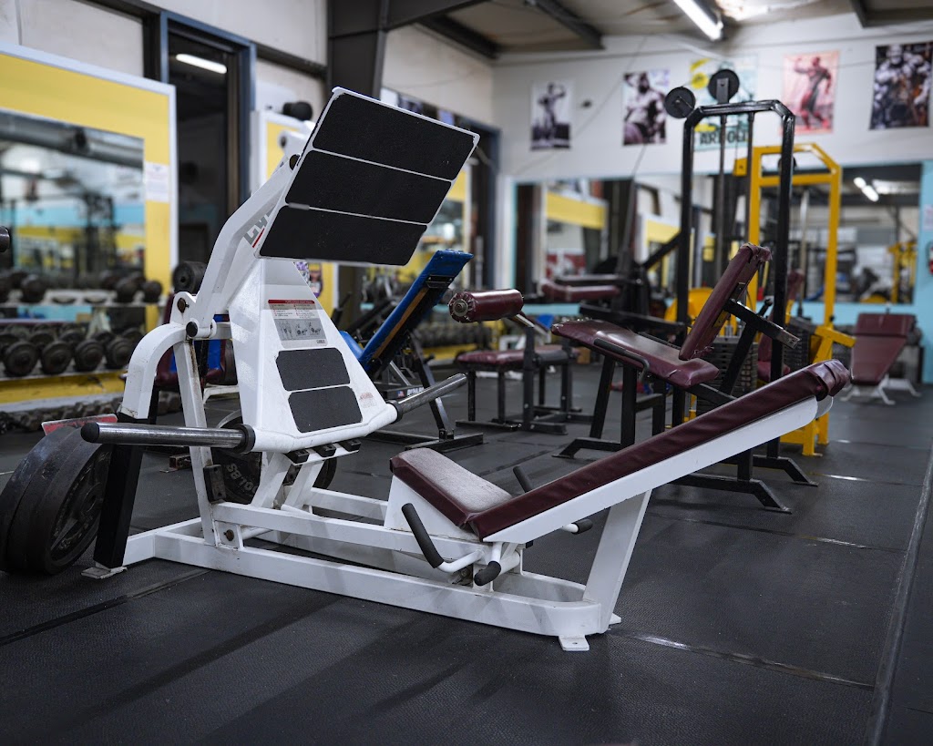 THE FREE WEIGHT GYM
