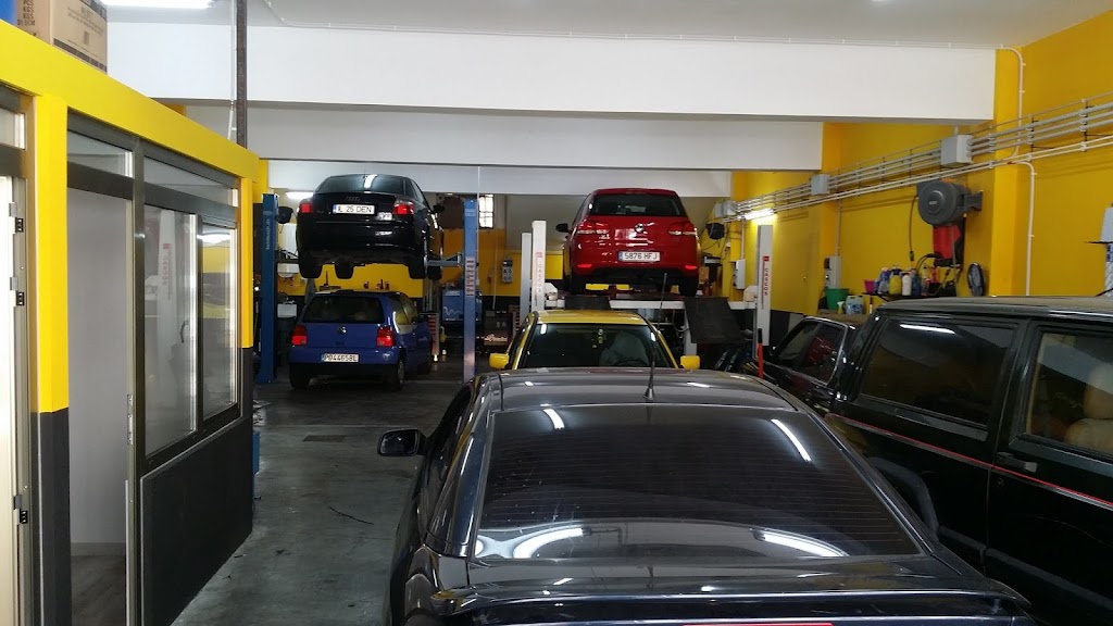 Automocion Dominguez