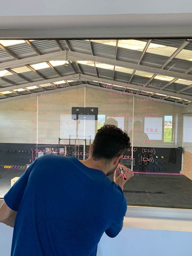 Mapache Training Club — Del propietario