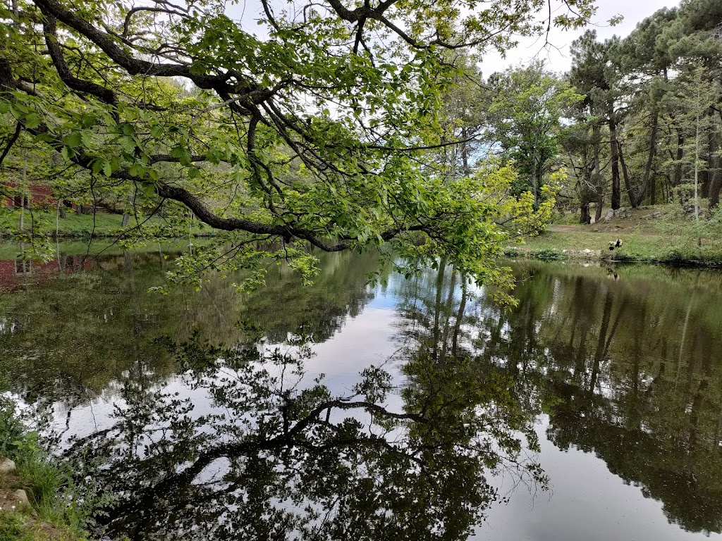 Lago Ciudad Ducal