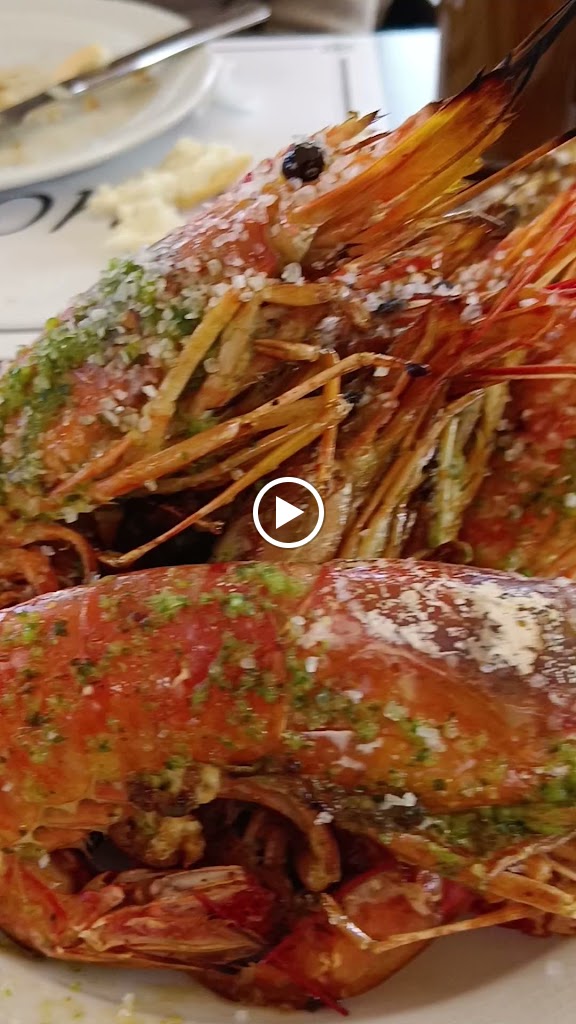 Cerveceria Lucas — Videos